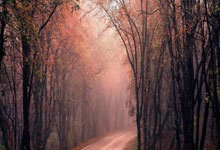 湖南金强遭受连败,排名继续滑落