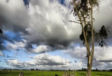 曼联在伯纳乌球场击败皇马,领先欧冠小组赛