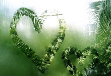 多特蒙德新秀青年才俊亮相,独中两元助球队获胜