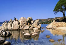 欧文引领凯尔特人击败对手，战绩提升